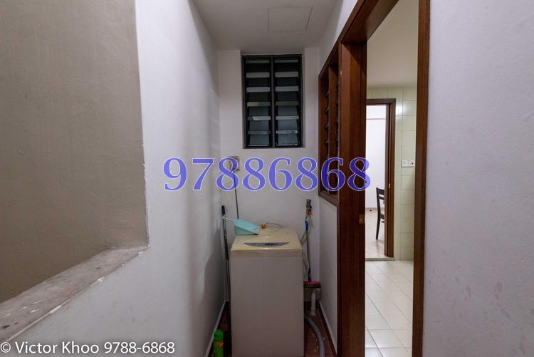 Carissa Park Condominium (D17), Condominium #173614352